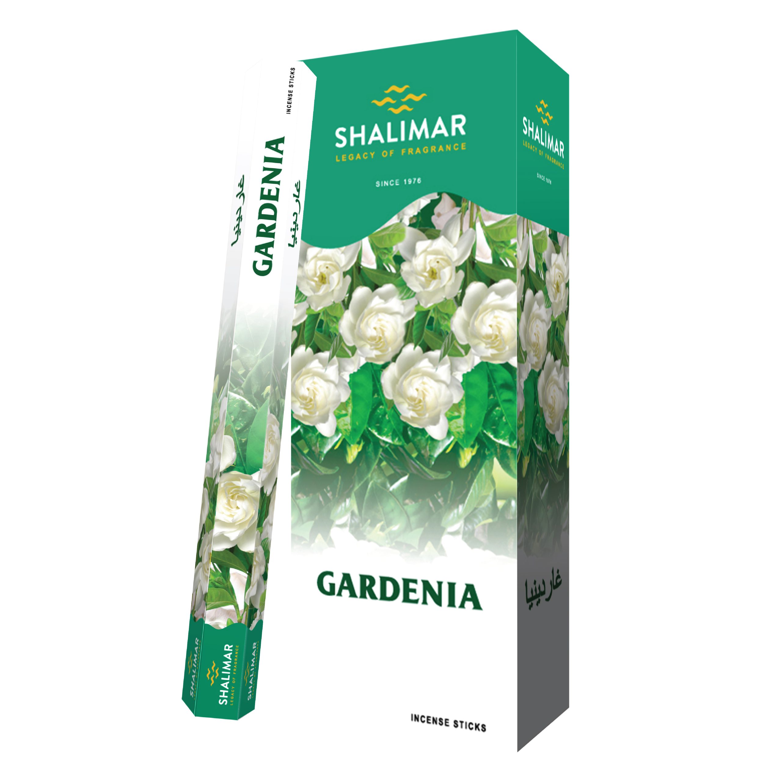 Gardenia Hexa Box
