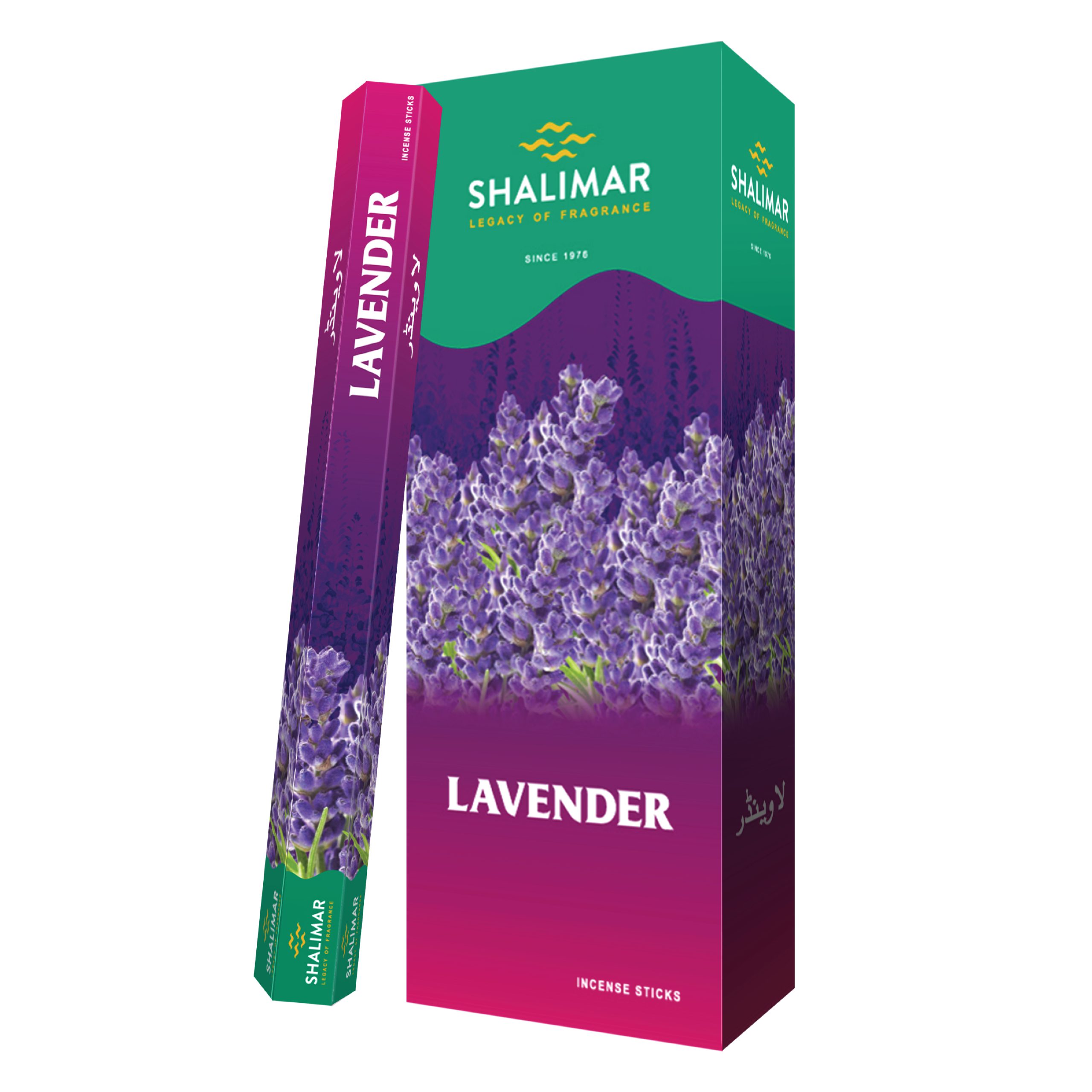 Lavender Hexa Box