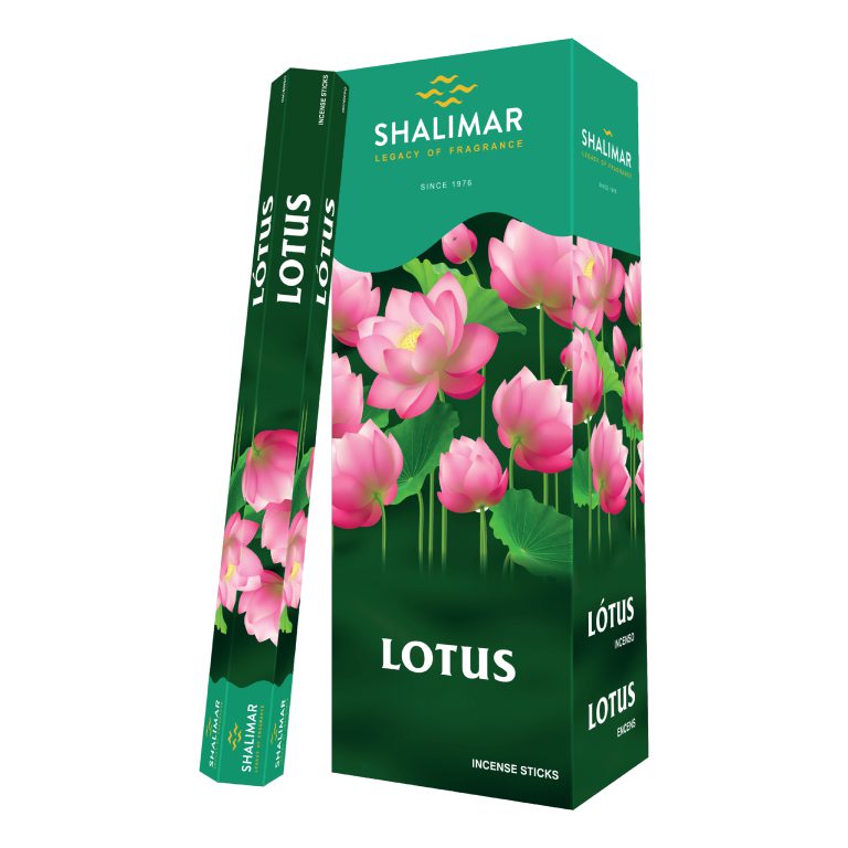 Lotus Hexa Box